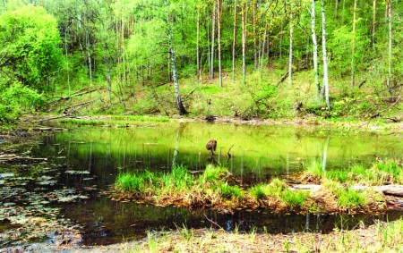 Informacija apie parengtus natūralių pievų ir ganyklų, pelkių ir šaltinynų žemėlapius