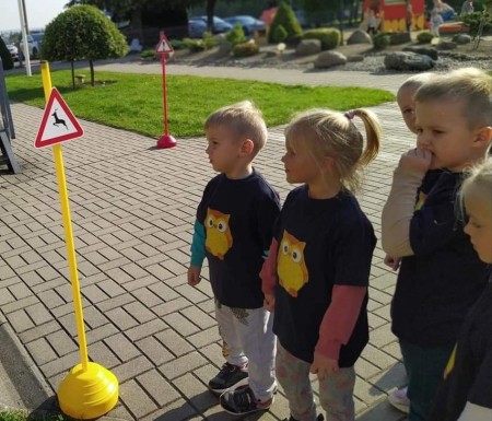 Saugaus eismo pradžiamokslis „pelėdžiukams“