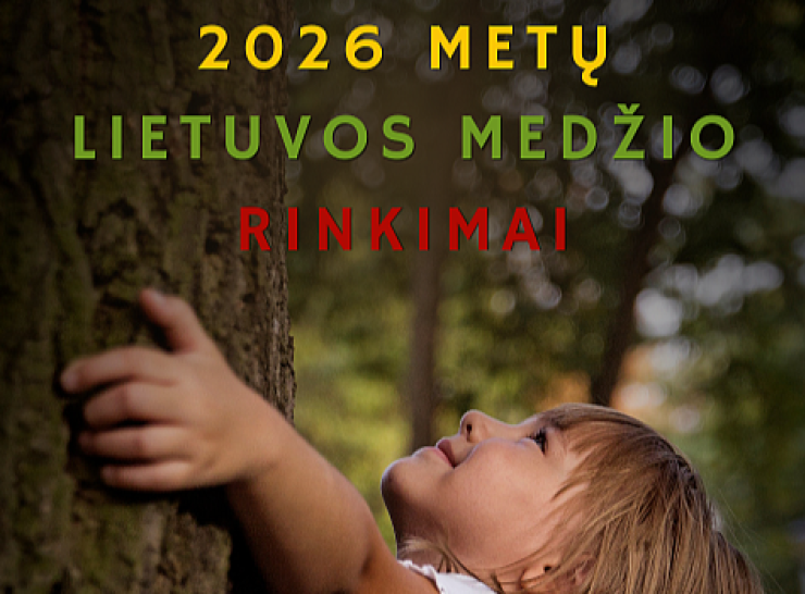 Kviečiame siūlyti išskirtinius mūsų krašto medžius 