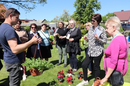 Kaimo bendruomenės papuošė savo teritorijas