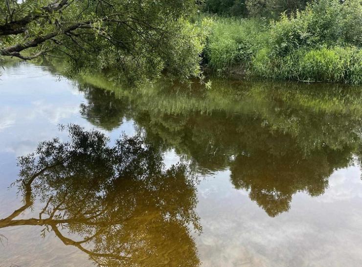 Informacija dėl pavojingo objekto Dubysos upėje