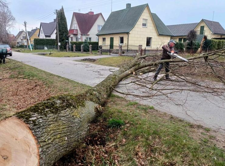 Kovo mėnesio darbai Raseinių rajono seniūnijose – nuo pavasarinio tvarkymosi iki bendruomeniškų iniciatyvų