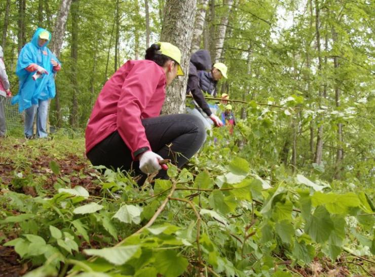 Kviečiame prisijungti prie kasmetinės akcijos „Darom“ – kartu švarinkime Raseinių kraštą!
