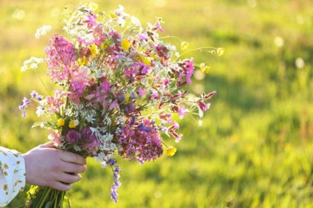 Savivaldybės vadovų sveikinimas Žolinių (Švč. Mergelės Marijos ėmimo į dangų dienos) proga 