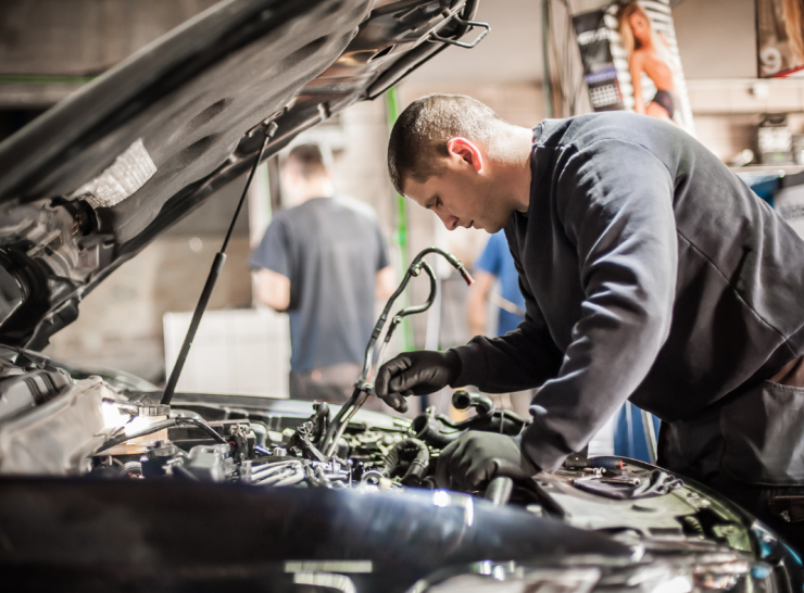 Automobilių tvarkymas be pasekmių gamtai – nauja svetainė apsaugos ir aplinką, ir jūsų sąžinę