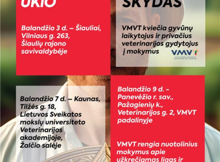 Fiksuojant vis daugiau snukio ir nagų ligos židinių, Lietuvoje – dėmesys biologinei saugai
