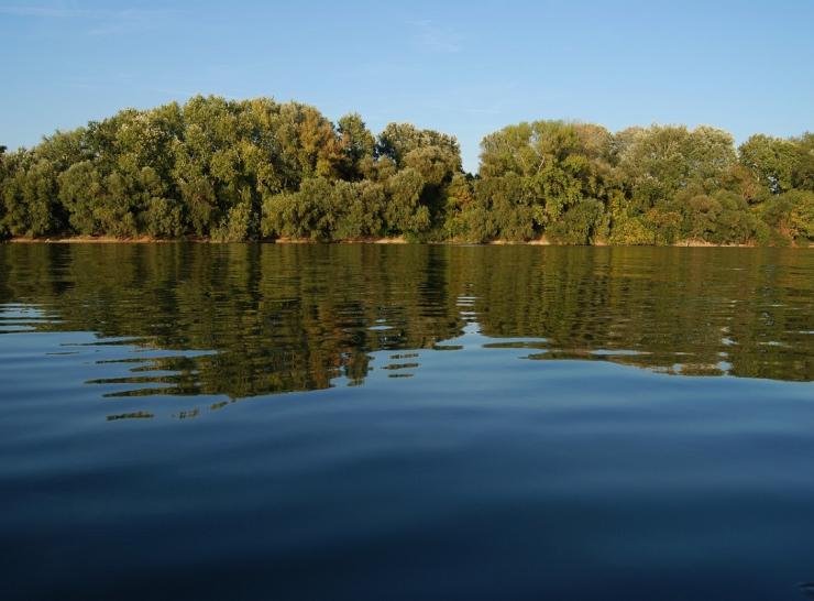Pavojai vandens telkiniuose