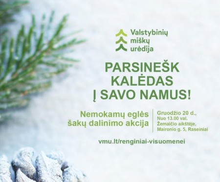  „Parsinešk Kalėdas į savo namus“ – eglių šakų dalinimo akcija Raseiniuose