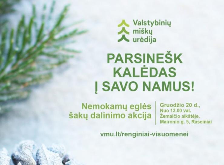 „Parsinešk Kalėdas į savo namus“ – eglių šakų dalinimo akcija Raseiniuose