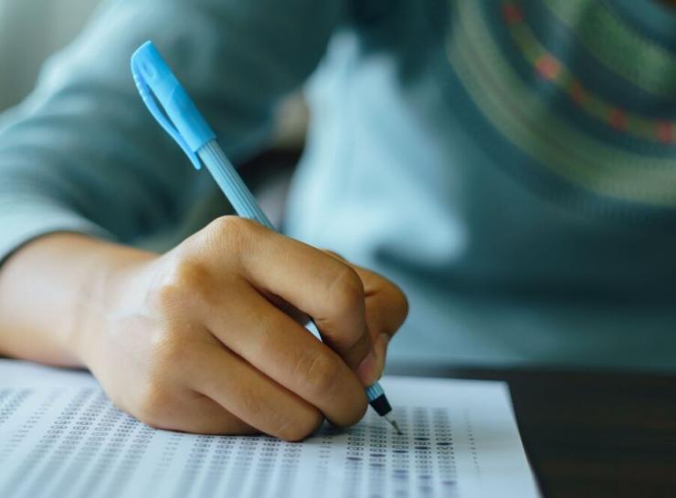 Džiuginantys valstybinių brandos egzaminų rezultatai Raseinių rajone – net 37 šimtukai