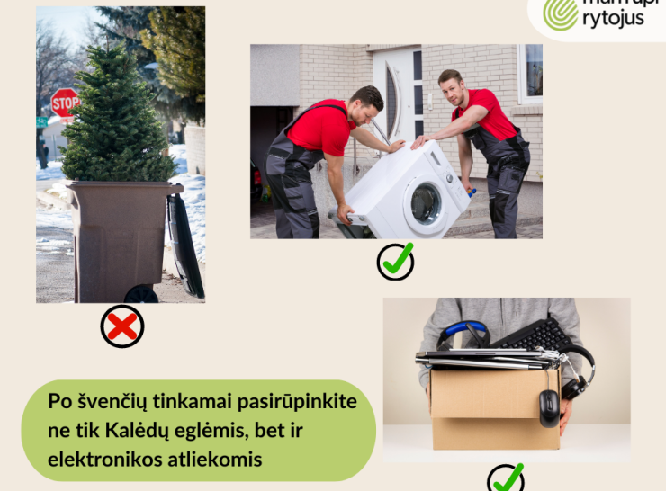 Po švenčių tinkamai pasirūpinti būtina ne tik Kalėdų eglėmis, bet ir elektronikos atliekomis