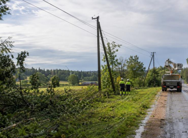 ESO didina kompensacijas gyventojams už po audros patirtus nuostolius