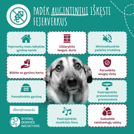 Atsisakykite „pramogų” su fejerverkais