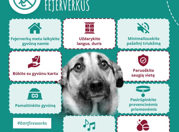 Atsisakykite „pramogų” su fejerverkais