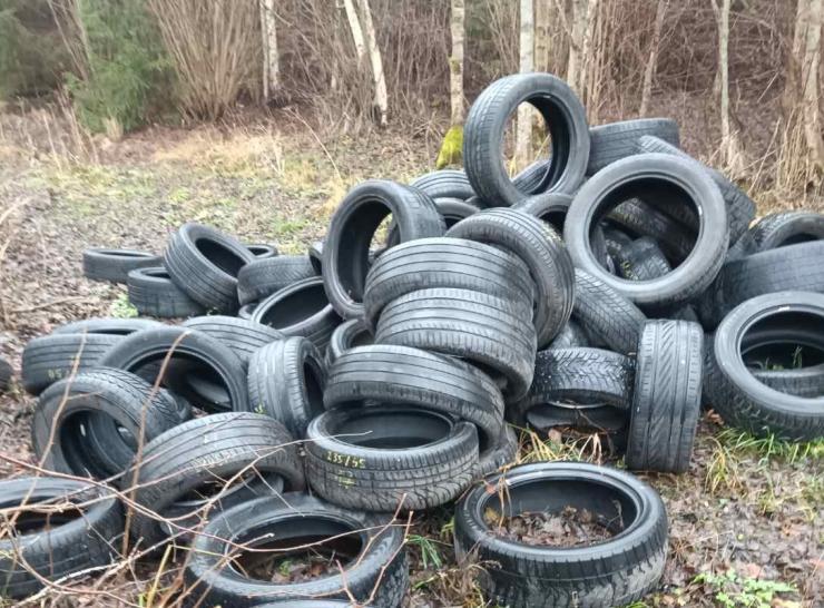Miškuose paliktų padangų kaina: nuo žalos aplinkai iki baudų teršėjams