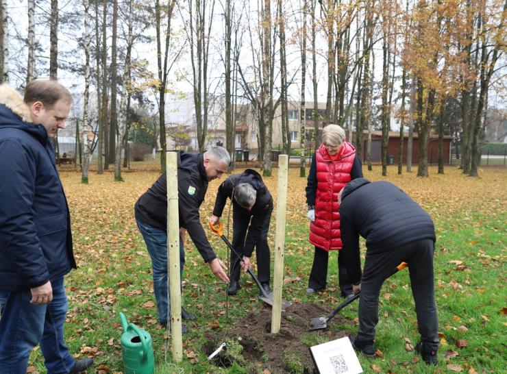 Šimtmečio parke pasodintas dar vienas atminimo ąžuoliukas