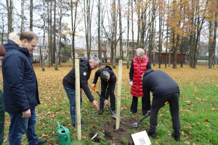 Šimtmečio parke pasodintas dar vienas atminimo ąžuoliukas