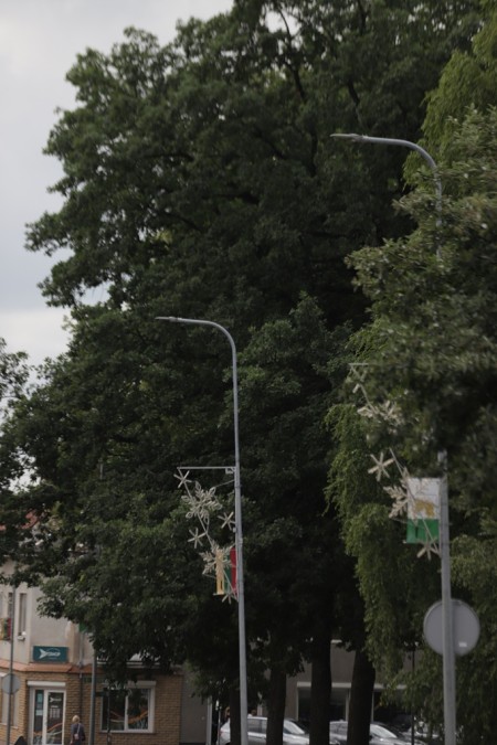 Raseinių rajono gyventojams – dar patogiau pranešti apie gatvių apšvietimo problemas