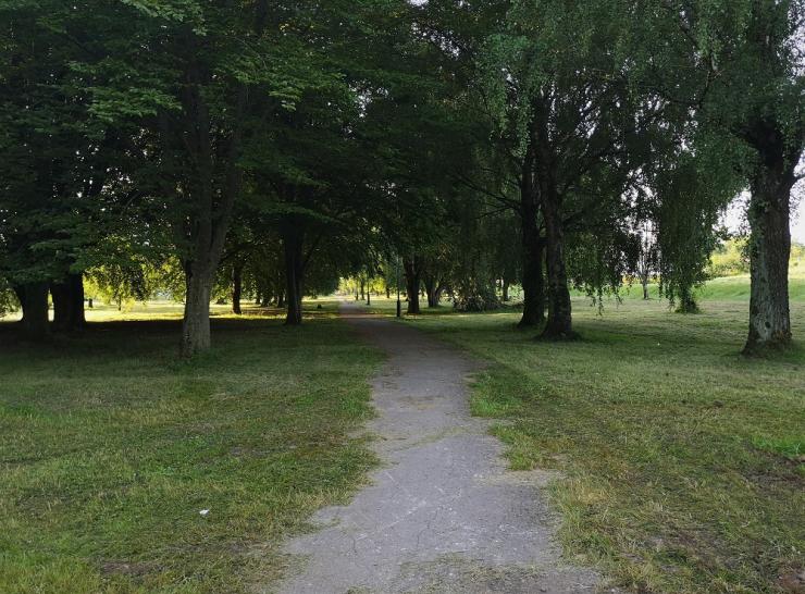 Ariogaloje įrengiamas D. Rudzinsko g. pėsčiųjų takas
