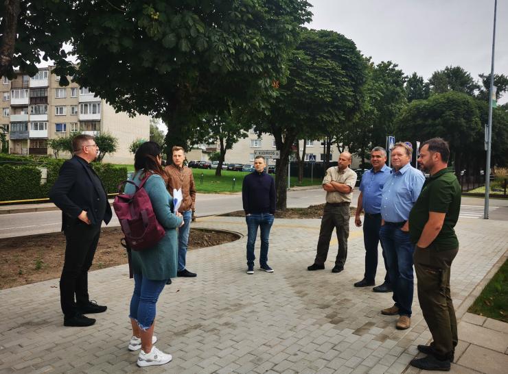 Priimtas sprendimas dėl Jaunimo g. esančių medžių pertvarkymo