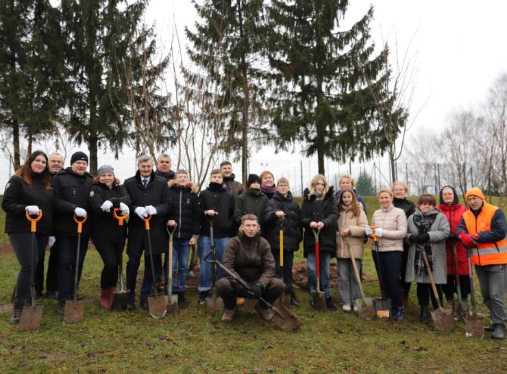 Raseinių mieste plečiamas sakurų gojelis