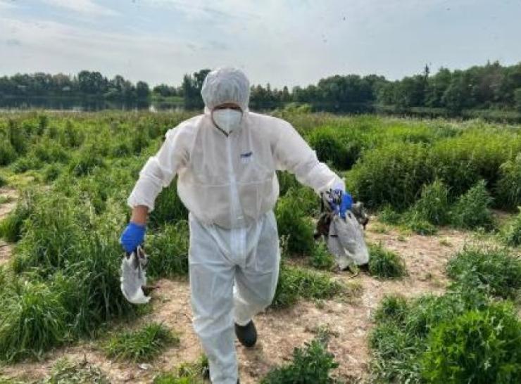 Dėmesio! Valstybinė maisto ir veterinarijos tarnyba informuoja