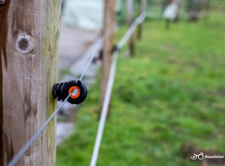 Komisija patvirtino paraiškas dėl gyvūnų daromos žalos prevencinių priemonių diegimo