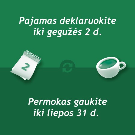 Deklaruojantiems pajamas – beveik du mėnesiai