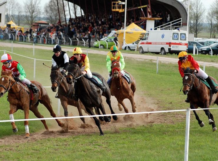 Paaiškėjo naujas Raseinių hipodromo nuomininkas