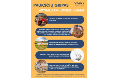 0002_document-2-_page-0001_1748867742-b0629060d416112bd3585b52b9a740d4.jpg