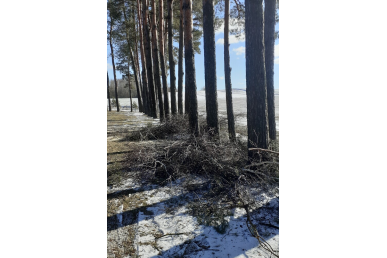 0006_20250219_121311_1741116982-0d006d5336195bc190492981de8353df.jpg
