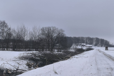 0016_kalnuju-sen-5_1770044921-381bde11ee6e8c2b25c303a258340c44.jpg