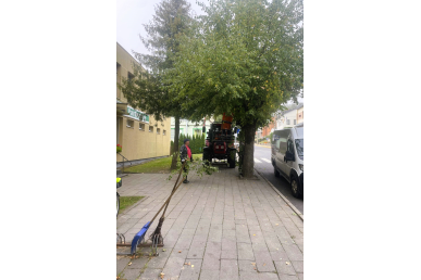 0030_medziu-genejimas-miestelyje-pries-silines_1726636440-c100d58f1d3fb0008722dc9a42350467.jpg