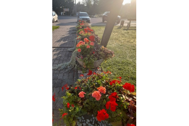 0060_papuosti-girkalnio-seniunijos-gelynai_1726637268-131f62ea77ae6b263d893ce72cc5ebd8.jpg
