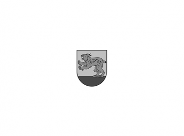 no-image-9d6a0dd3db692667aecbdb96799732e5.png